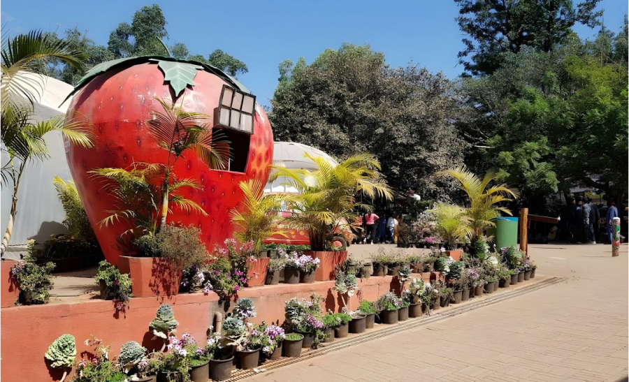 Manorama Garden
