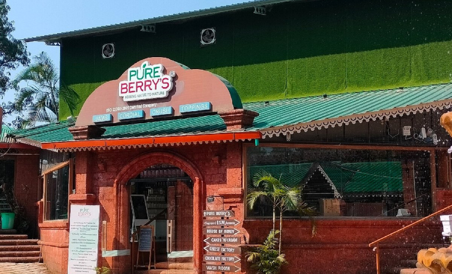 Pureberry Factory